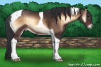Horse Color:Brown Onyx Tobiano 