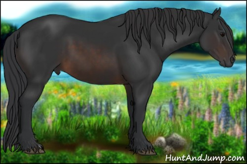 Horse Color:Brown 