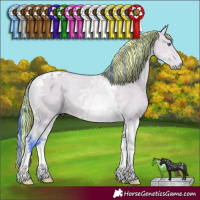 Horse Color:Painted Watercolor Bay Chinchilla Dun Tobiano 