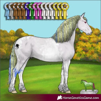 Horse Color:Painted Watercolor Bay Chinchilla Dun Tobiano 
