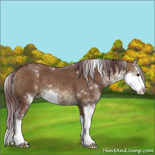 Horse Color:Chocolate Buckskin Dun Sabino 