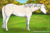 Horse Color:Cremello Splash  and Cremello Splash 