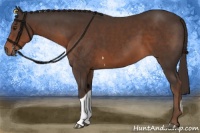 Horse Color:Liver Chestnut Sabino Tobiano 