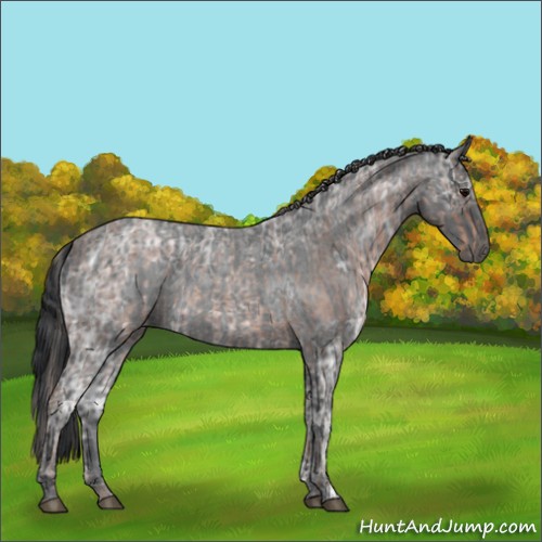 Horse Color:Silver Blue Ice Roan Rabicano  and Blue Ice Roan 