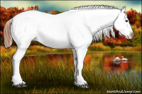 Horse Color:Bay Near Leopard