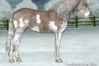 Horse Color:Silver Blue Roan Splash 