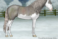 Horse Color:Silver Blue Roan Splash 