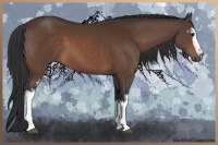 Horse Color:White Spotted Brown Sabino
