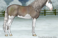 Horse Color:Silver Blue Roan Splash 