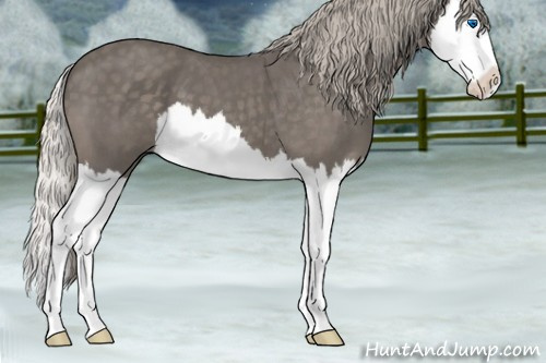 Horse Color:Silver Blue Roan Splash 