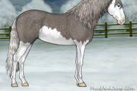 Horse Color:Silver Blue Roan Splash 
