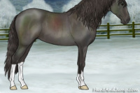 Horse Color:Smoky Blue Roan 