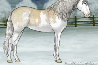 Horse Color:Silver Smoky Blue Roan Splash 