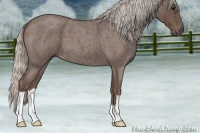 Horse Color:Silver Blue Roan 