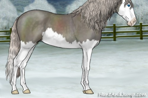Horse Color:Silver Blue Roan Splash