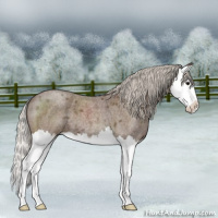 Horse Color:Silver Blue Roan Splash 