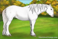 Horse Color:White Spotted Silver Bay Splash 