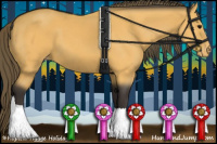 Horse Color:Buckskin Appaloosa 