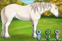 Horse Color:Perlino Roan Sabino