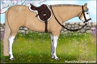 Horse Color:Palomino Roan Splash 