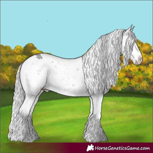 Horse Color:Silver Grullo Chinchilla Sabino 
