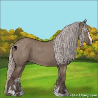 Horse Color:Silver Grullo Sabino 