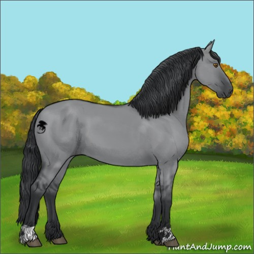 Horse Color:Grullo Chinchilla 