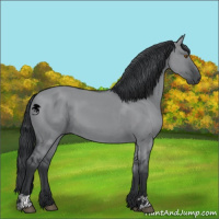 Horse Color:Grullo Chinchilla 