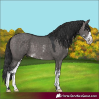 Horse Color:Platinum Brown Dun Sabino 