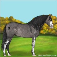 Horse Color:Platinum Brown Dun Sabino 