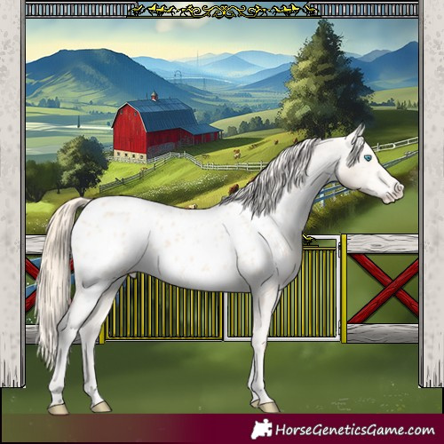 Horse Color:Perlino Near Leopard