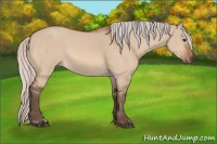 Horse Color:Silver Brown Dun 