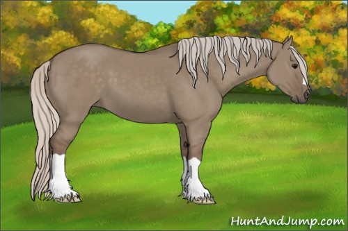 Horse Color:Silver Grullo 