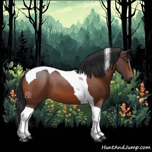 Horse Color:Bay Tobiano 