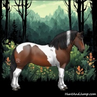 Horse Color:Bay Tobiano 