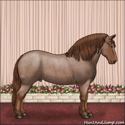 Horse Color:Red Roan 