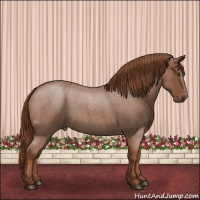 Horse Color:Red Roan 