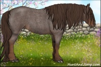 Horse Color:Liver Red Roan 