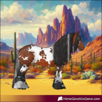 Horse Color:White Spotted Bay 