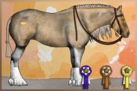 Horse Color:Palomino Roan Tobiano 