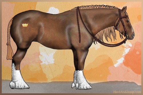 Horse Color:Chestnut Sabino