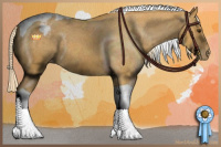 Horse Color:Palomino Tobiano Appaloosa 