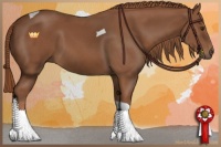 Horse Color:Chestnut Tobiano 