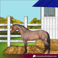 Horse Color:Bay Roan Rabicano 