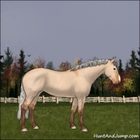 Horse Color:Silver Bay Dun 
