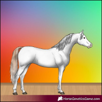 Horse Color:Chestnut Tobiano Blanket 