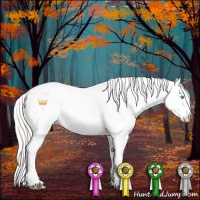Horse Color:Cremello Sabino Appaloosa