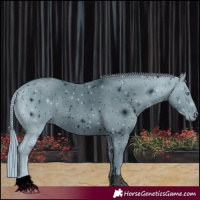 Horse Color:ERROR: UNKNOWN ANOMALY
