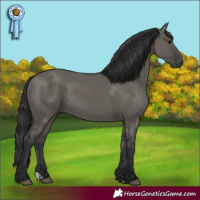 Horse Color:Grullo 