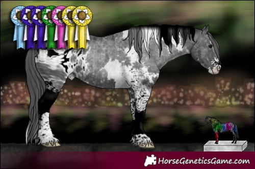 Horse Color:ERROR: UNKNOWN ANOMALY